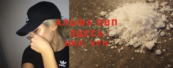 дживик Белокуриха