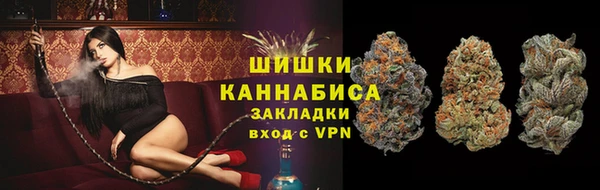 дживик Белокуриха