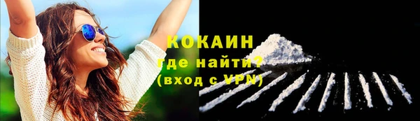 дживик Белокуриха
