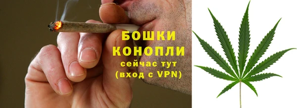 дживик Белокуриха