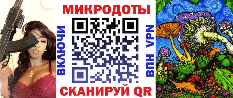 Галлюциногенные грибы Psilocybe  цены наркотик  Ставрополь 